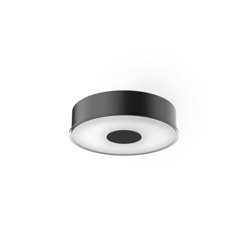 Parker Ceiling Light