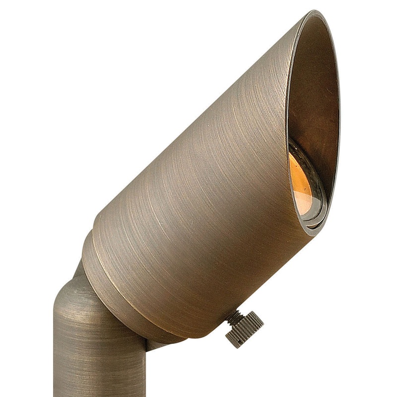 Hardy Island 12V MR11 Spot Light