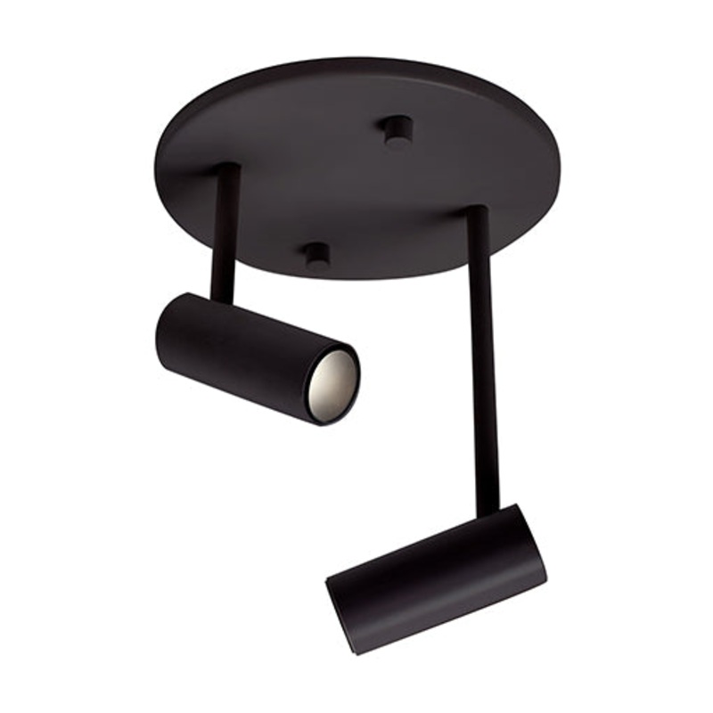 Downey 2 Light Adjustable Spot