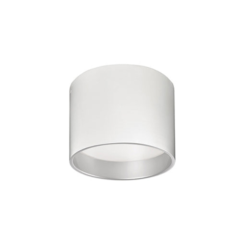 Mousinni Ceiling Light
