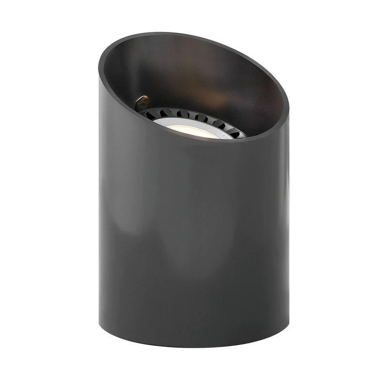 Reversible Angle PAR36 12V Well Light